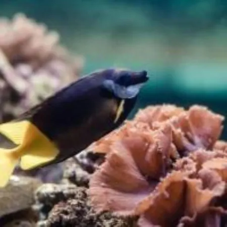 Wellness D403 čtvrté Patro Appartamento *