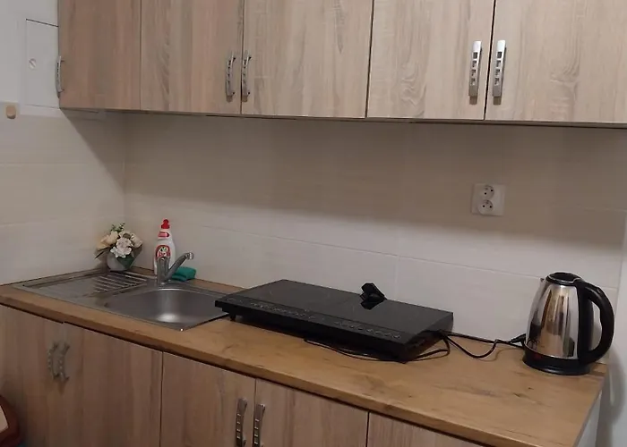 Wellness D403 čtvrté Patro
